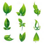 Natural Green Leaves Icon Pack